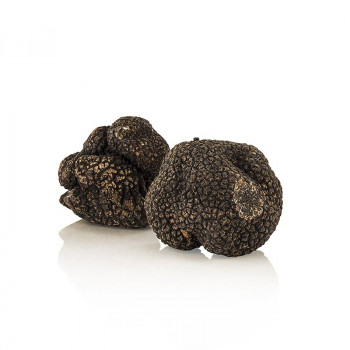 Winter-Edeltrüffel - tuber melanosporum, frisch, Spanien, Nov./März