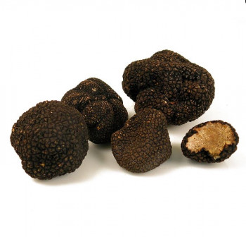 Sommertrüffel/BurgunderTrüffel tuber aestivum/uncinatum, Mai/November, per Gramm, minimum 100g